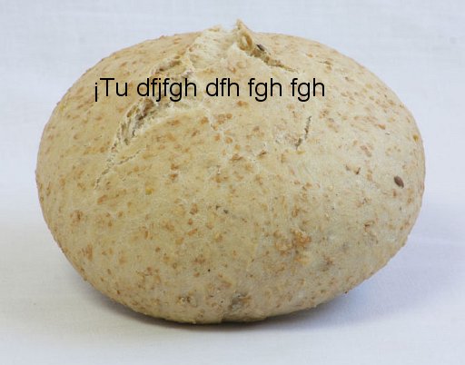 mollete-integral-60-100